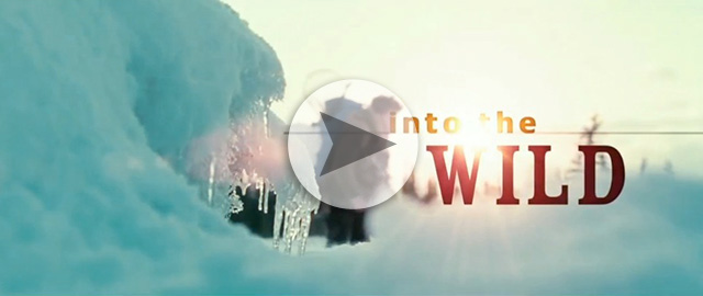 Marcia Gay Harden :: The Work :: Into The Wild