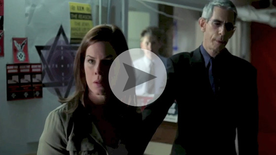 Marcia Gay Harden The Work Law And Order Svu
